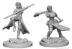 Dungeons And Dragons: Nolzur's Marvelous Unpainted Miniatures - Human Monk (Female)